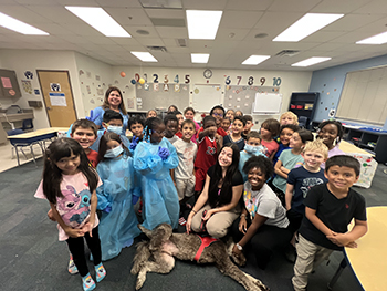 Cruzin  Dental | Digital Radiography, Oral Cancer Screening and Ceramic Crowns