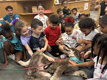 Cruzin  Dental | Pediatric Dentistry, Cosmetic Dentistry and Fluoride Treatment