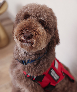 Cruzin  Dental | Sleep Apnea, Sedation Dentistry and Digital Radiography