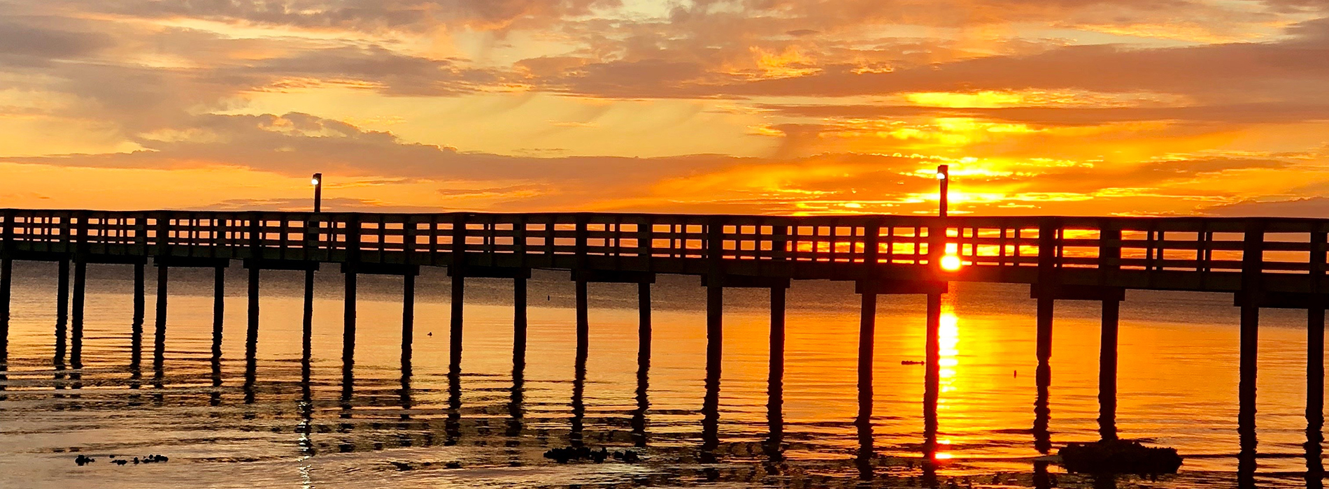 Cruzin Dental | Root Canals, Cosmetic Dentistry and Dental Bridges